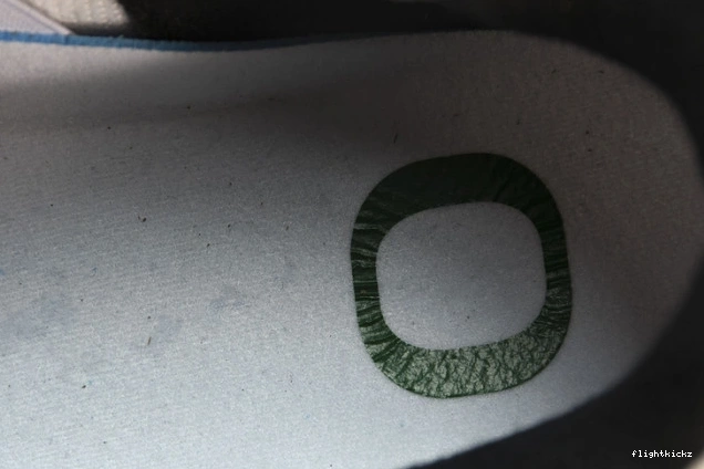 257-255275 Oregon Duckman 4 Jordan Retro Ducks 1107